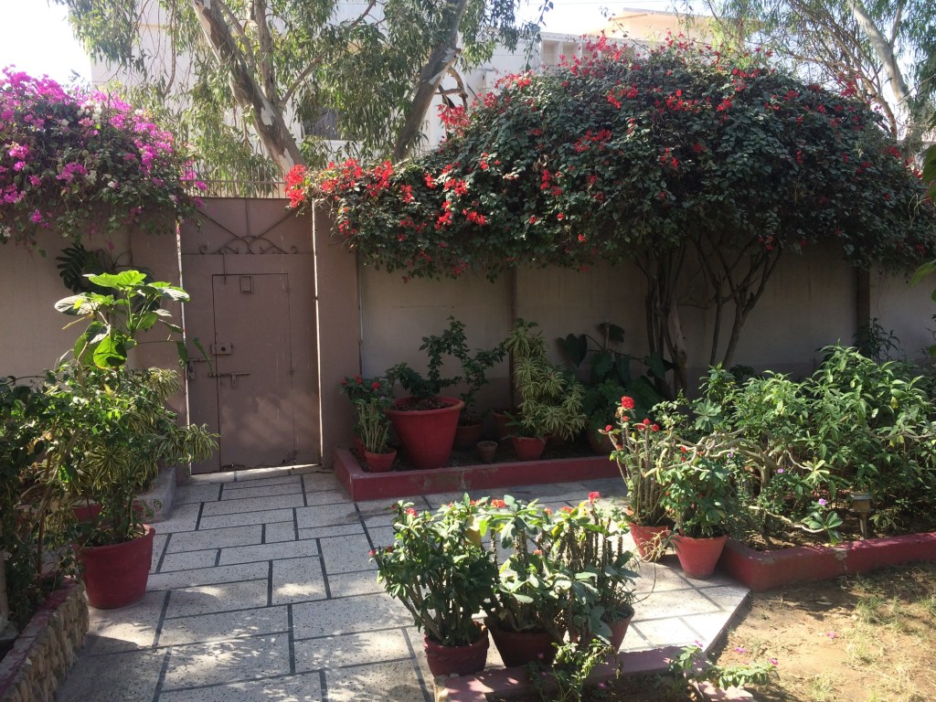 Girl Flowers – an unfinished&nbsp;draft